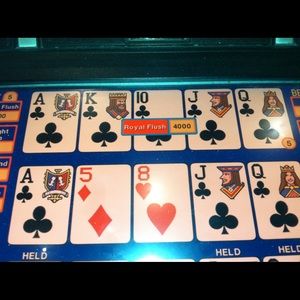 Meet your Posher, Holly